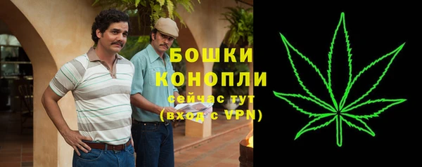 твердый Богданович