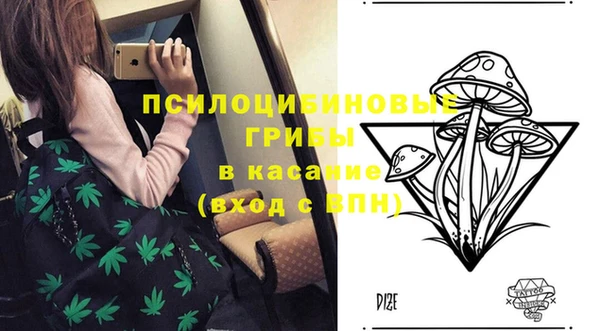 твердый Богданович
